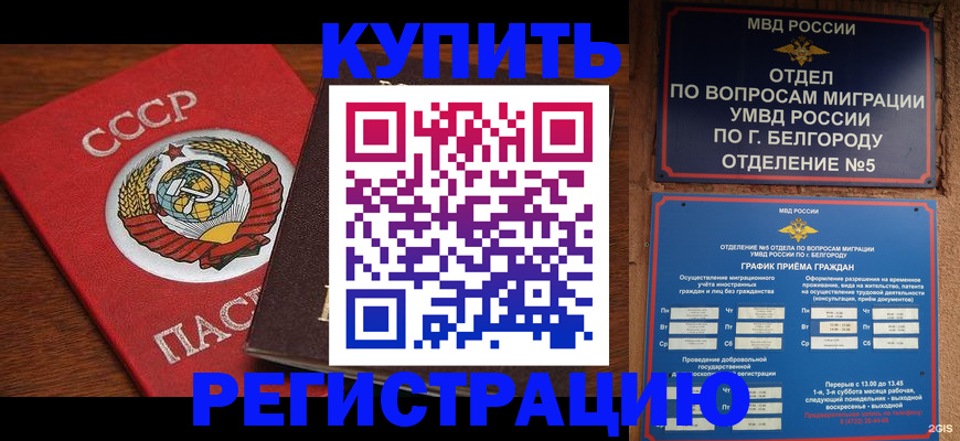 прописка для работы в Черняховске